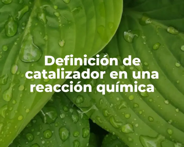 Definición de catalizador en una reacción química