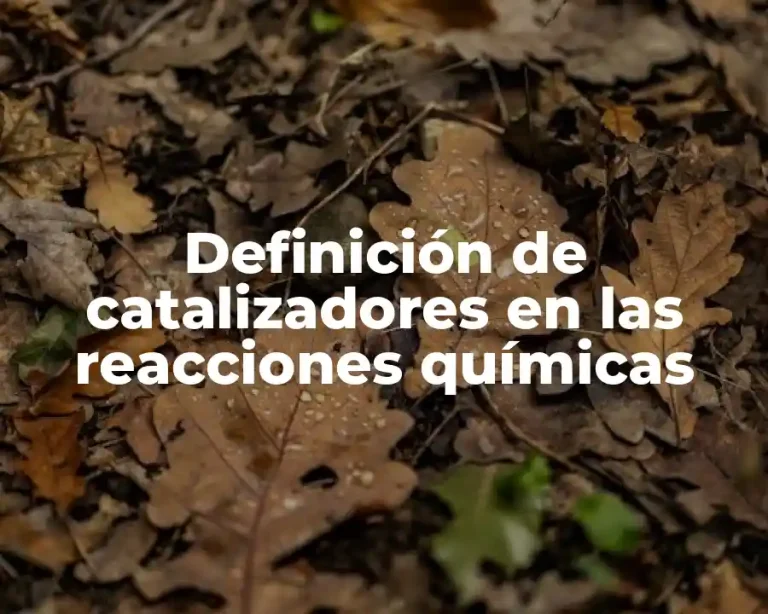 Definición de catalizadores en las reacciones químicas