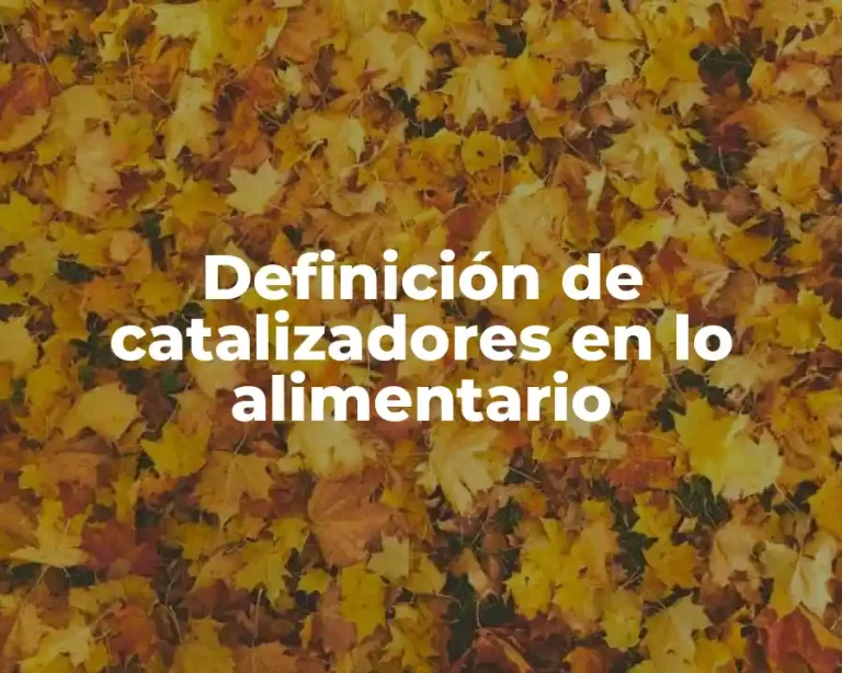 Definición de catalizadores en lo alimentario