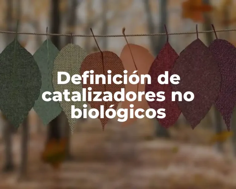 Definición de catalizadores no biológicos