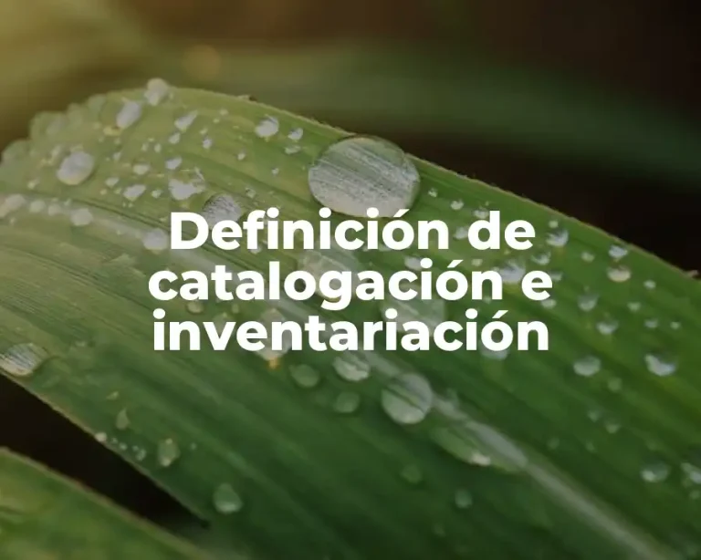 Definición de catalogación e inventariación