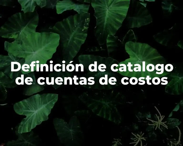 Definición de catalogo de cuentas de costos