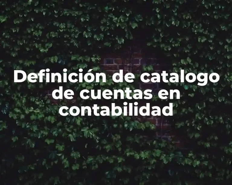 Definición de catalogo de cuentas en contabilidad