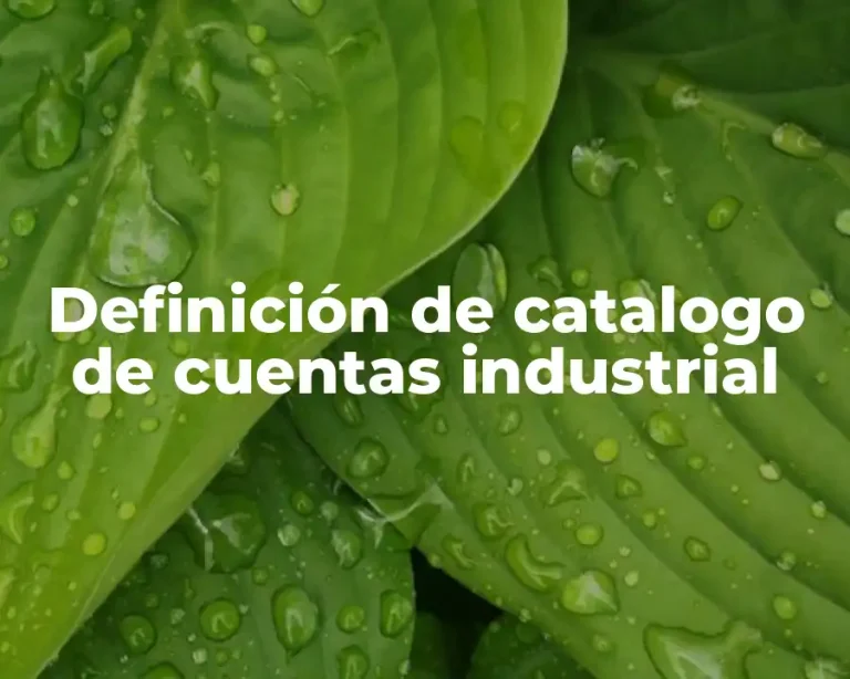 Definición de catalogo de cuentas industrial