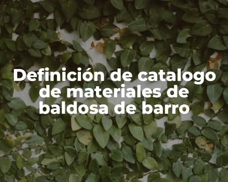Definición de catalogo de materiales de baldosa de barro