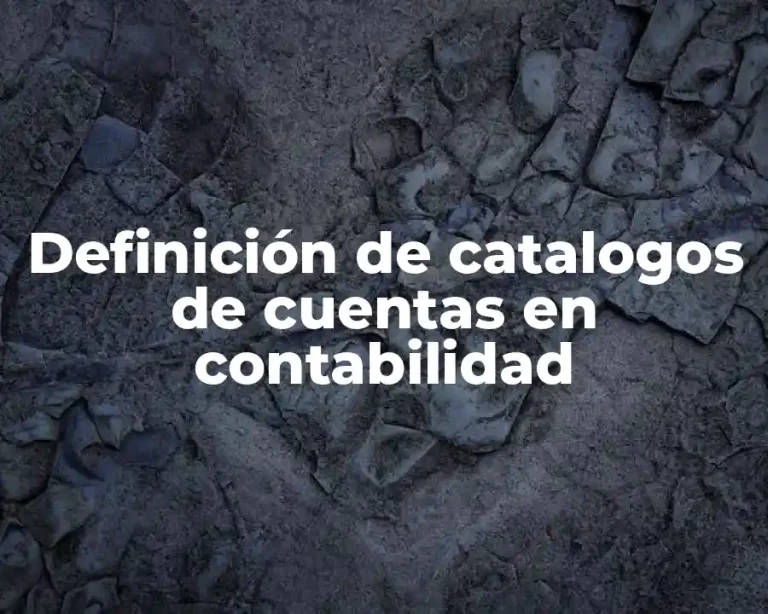 Definición de catalogos de cuentas en contabilidad