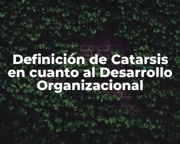 Definición de Catarsis en cuanto al Desarrollo Organizacional