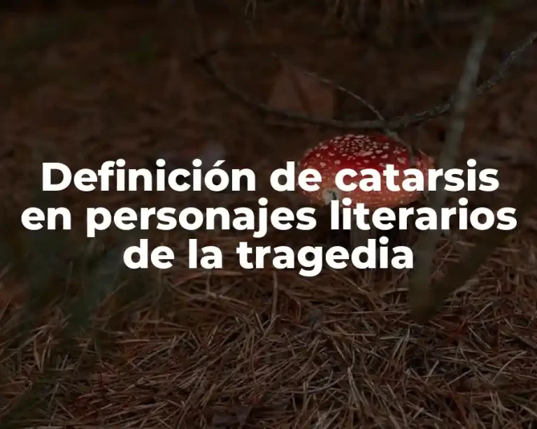 Definición de catarsis en personajes literarios de la tragedia