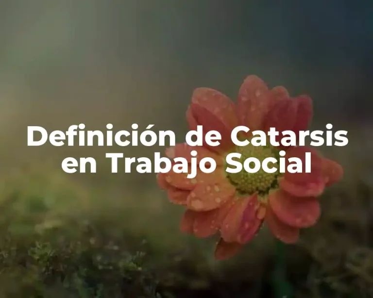 Definición de Catarsis en Trabajo Social