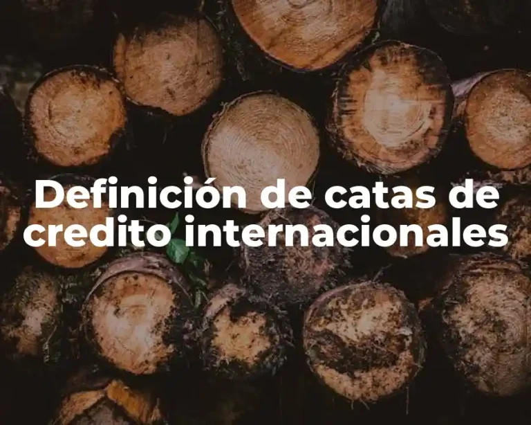 Definición de catas de credito internacionales