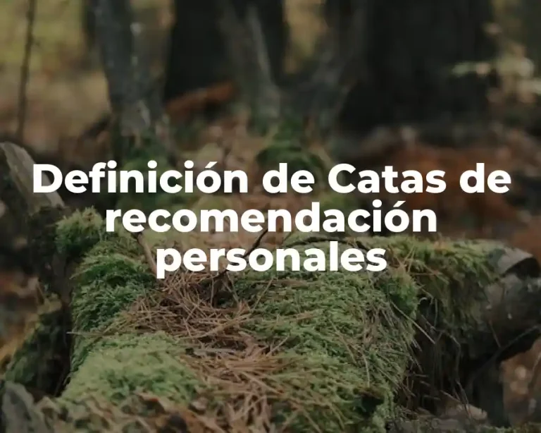 Definición de Catas de recomendación personales