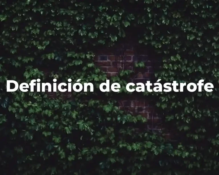 Definición de catástrofe