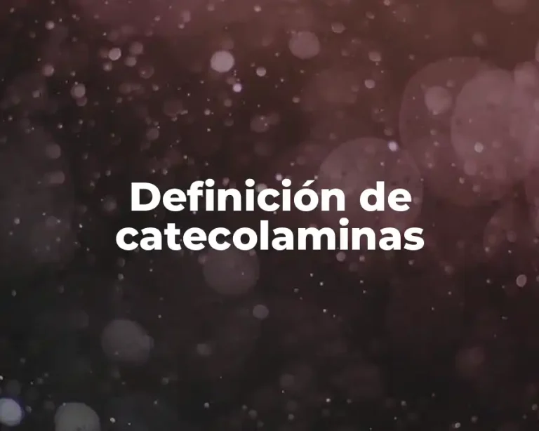 Definición de catecolaminas