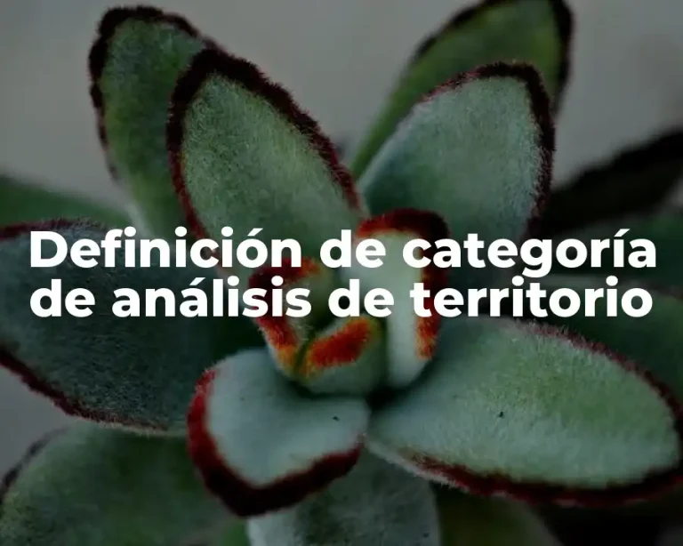 Definición de categoría de análisis de territorio