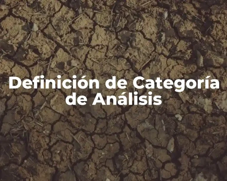 Definición de Categoría de Análisis