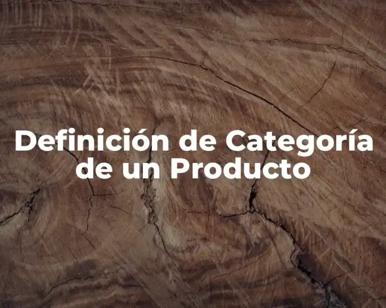 Definición de Categoría de un Producto