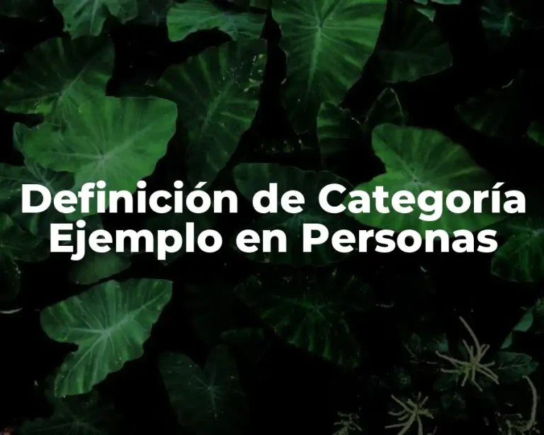 Definición de Categoría Ejemplo en Personas