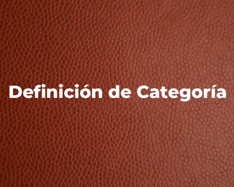 Definición de Categoría