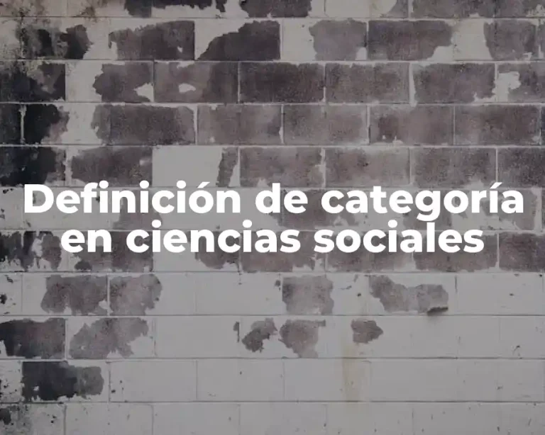 Definición de categoría en ciencias sociales