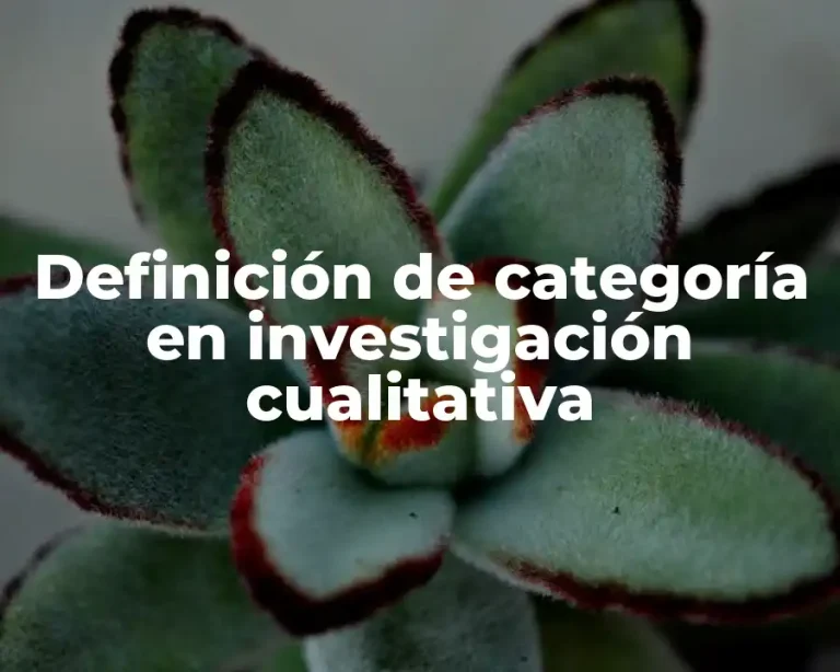 Definición de categoría en investigación cualitativa