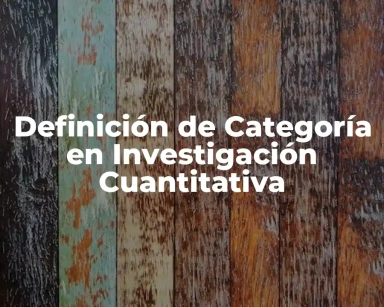 Definición de Categoría en Investigación Cuantitativa