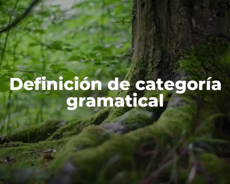 Definición de categoría gramatical