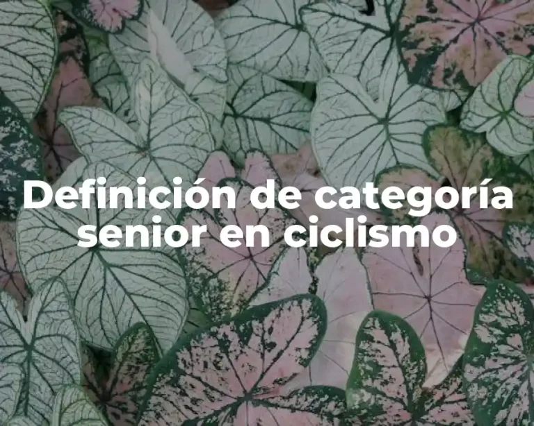 Definición de categoría senior en ciclismo