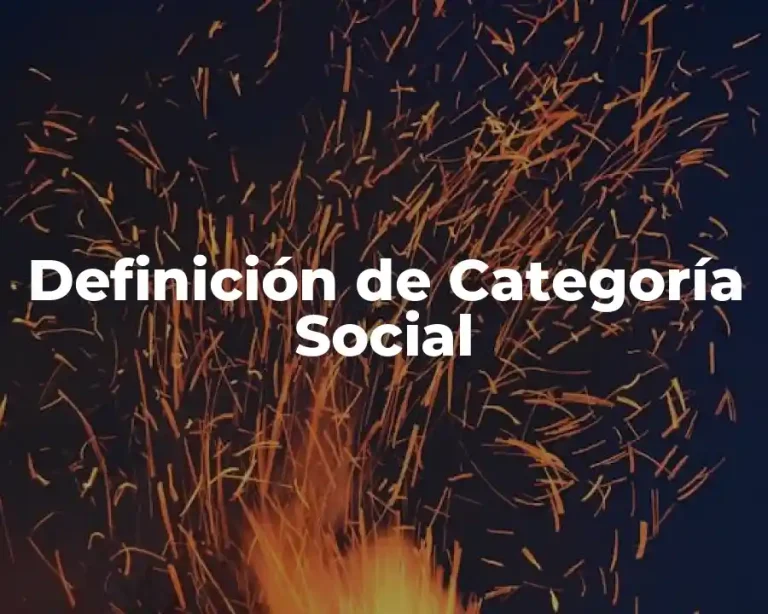 Definición de Categoría Social