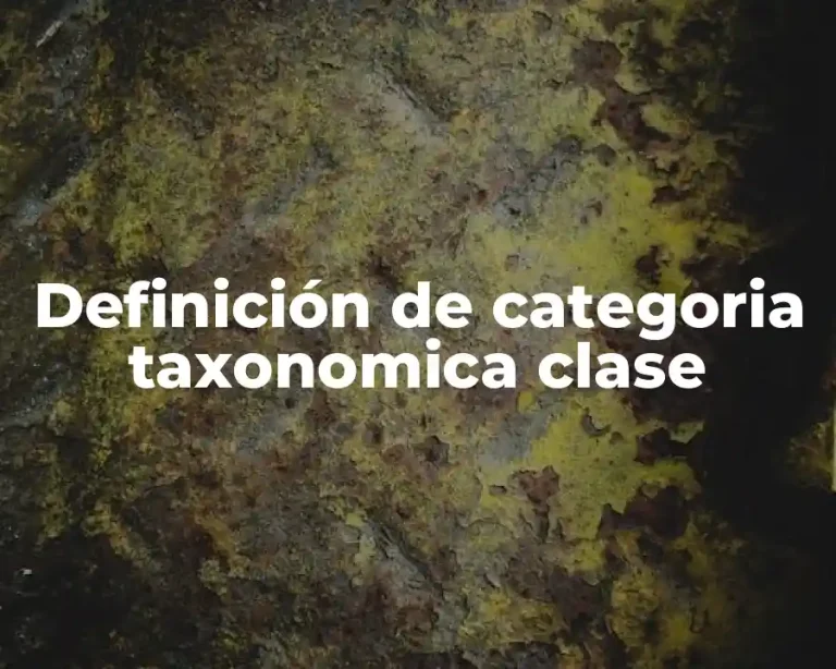 Definición de categoria taxonomica clase