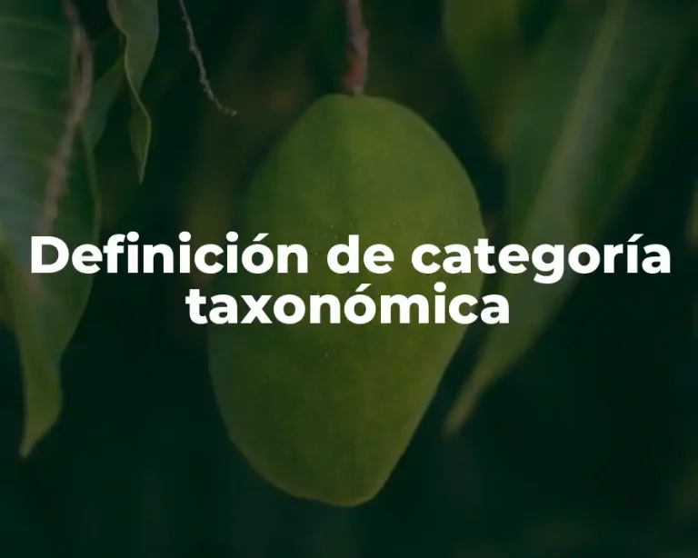 Definición de categoría taxonómica