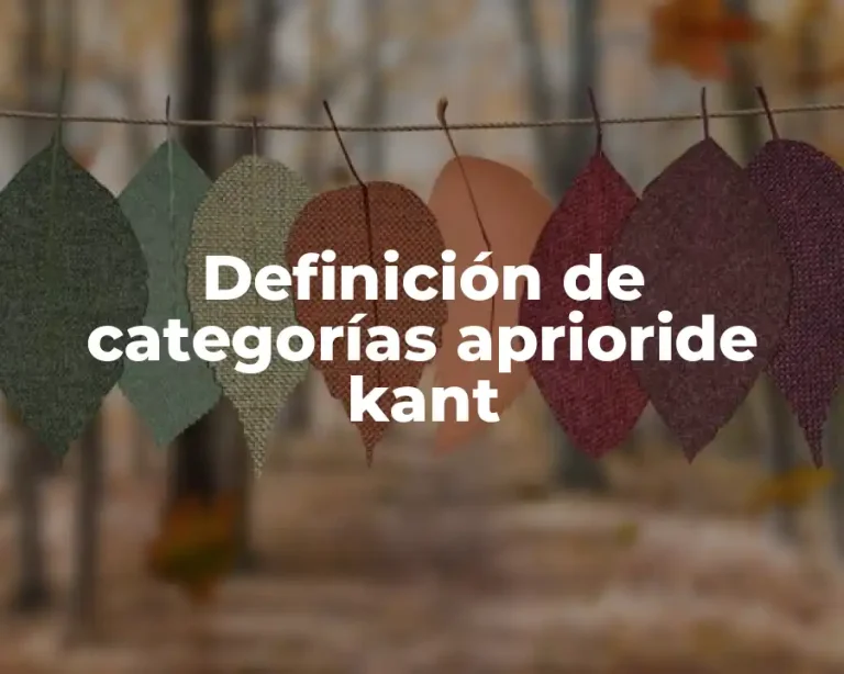 Definición de categorías aprioride kant