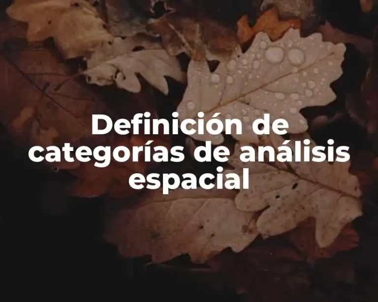 Definición de categorías de análisis espacial
