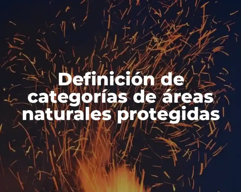 Definición de categorías de áreas naturales protegidas