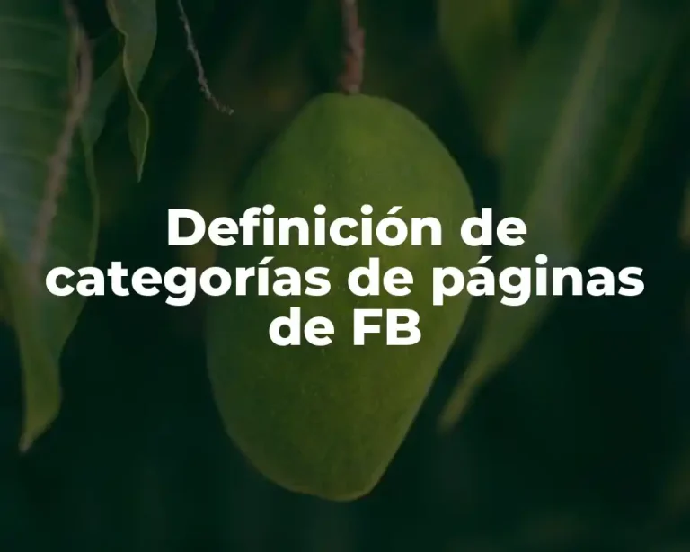 Definición de categorías de páginas de FB
