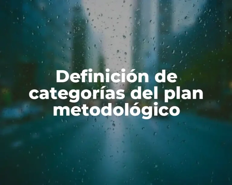 Definición de categorías del plan metodológico