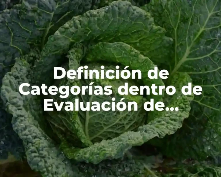 Definición de Categorías dentro de Evaluación de Proyectos