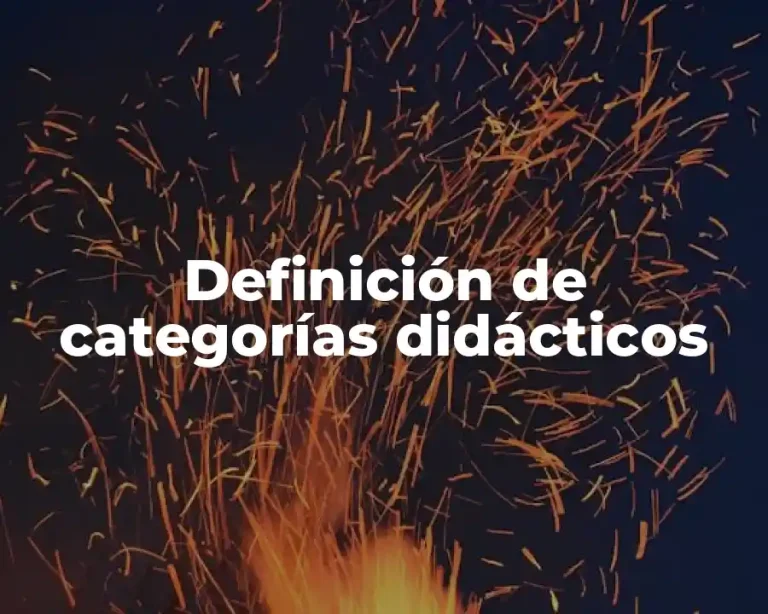 Definición de categorías didácticos