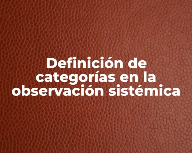 Definición de categorías en la observación sistémica