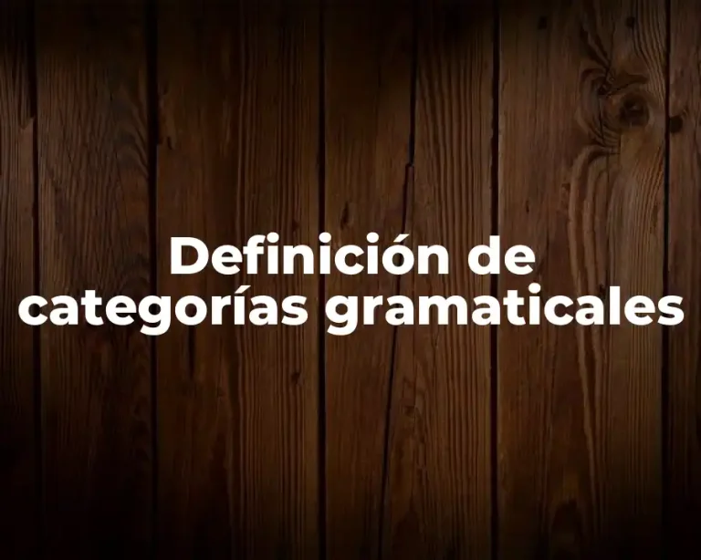 Definición de categorías gramaticales