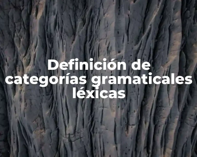 Definición de categorías gramaticales léxicas