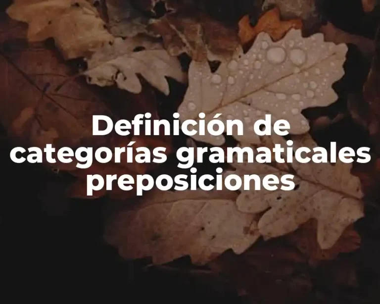 Definición de categorías gramaticales preposiciones