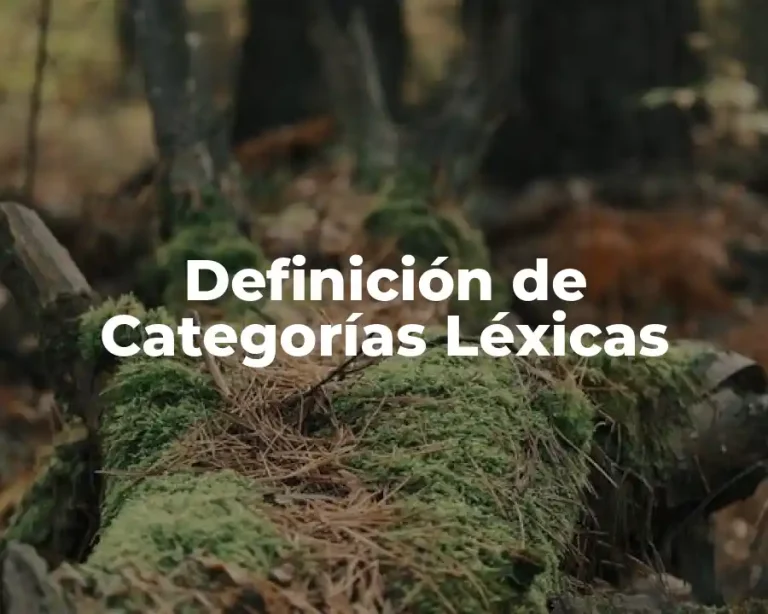 Definición de Categorías Léxicas
