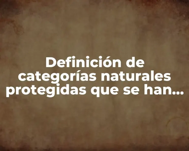 Definición de categorías naturales protegidas que se han establecido