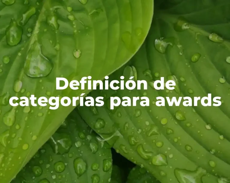Definición de categorías para awards