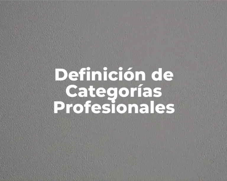 Definición de Categorías Profesionales
