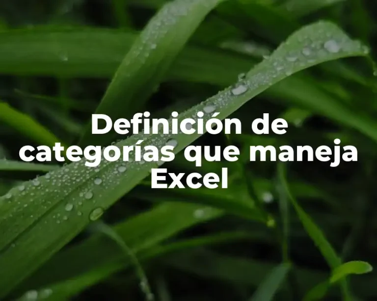 Definición de categorías que maneja Excel