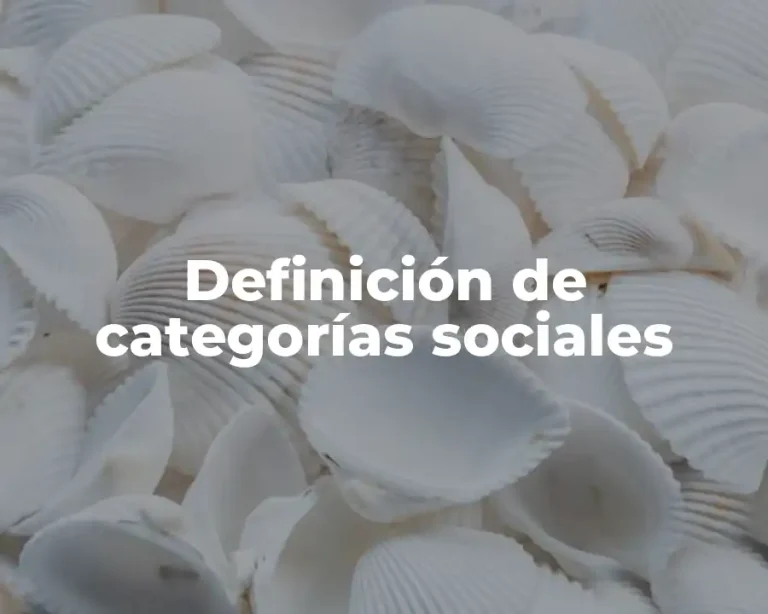 Definición de categorías sociales