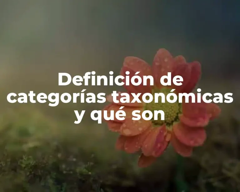 Definición de categorías taxonómicas y qué son