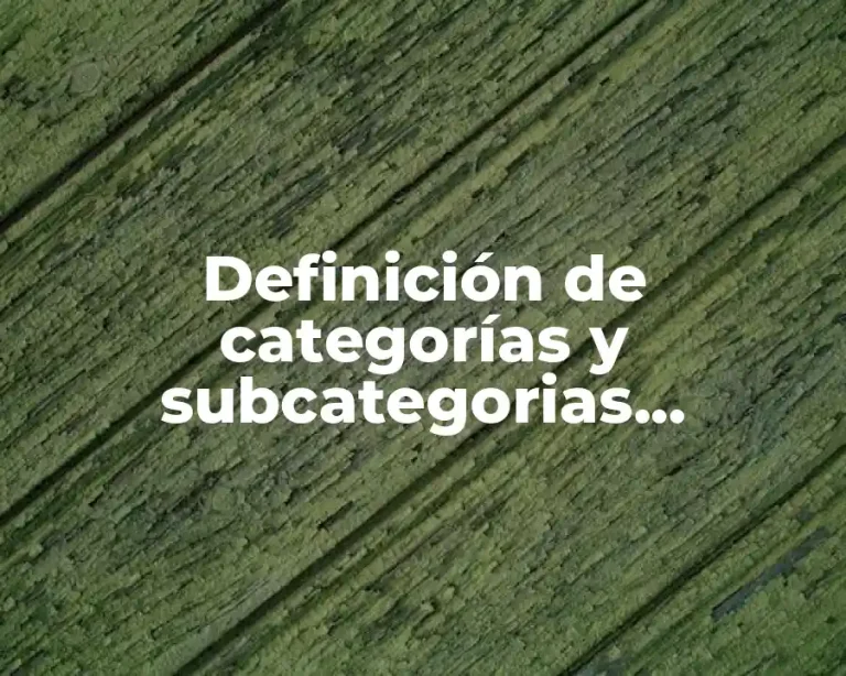 Definición de categorías y subcategorias cualitativo