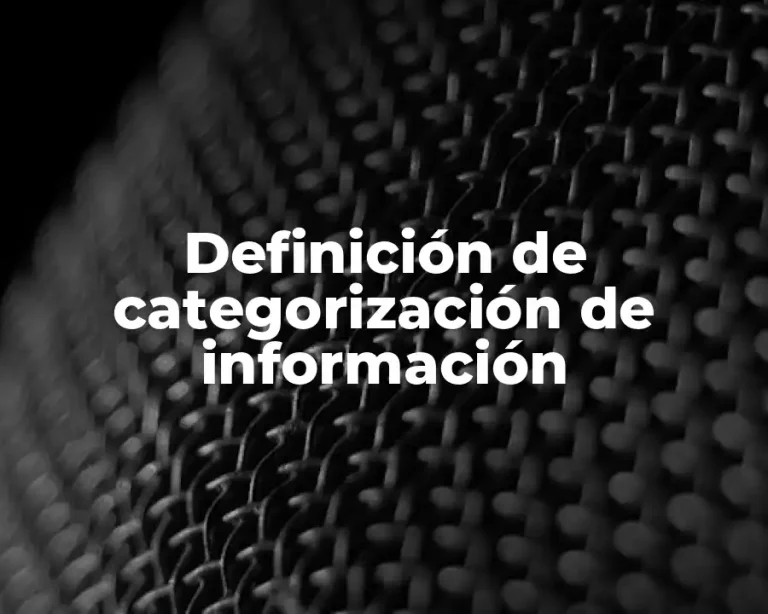 Definición de categorización de información